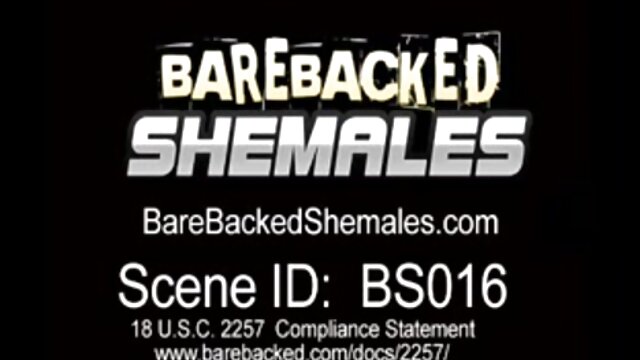 Odlično :  Seksi dame jebejo enega srečneža Video posnetki za odrasle 