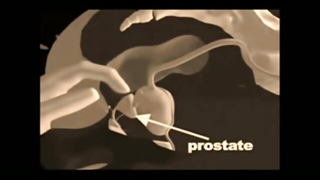 Odlično :  Alena Croft jebe tetoviranega fanta v pisarni Video posnetki za odrasle 