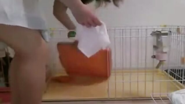 Odlično :  Ava Taylor se uči pomembne lekcije Video posnetki za odrasle 